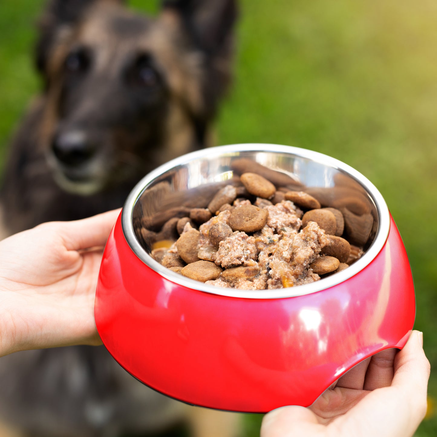 Petzy - Hundenapf und Katzennapf rutschfest aus Edelstahl