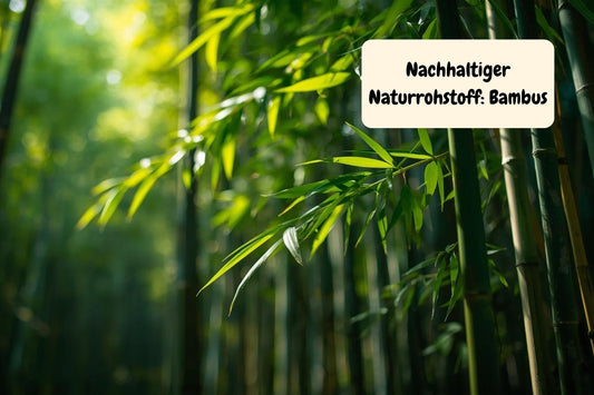 Warum das Material beim Futternapf so wichtig ist