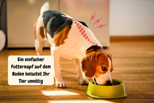Alltagstauglichkeit im Fokus