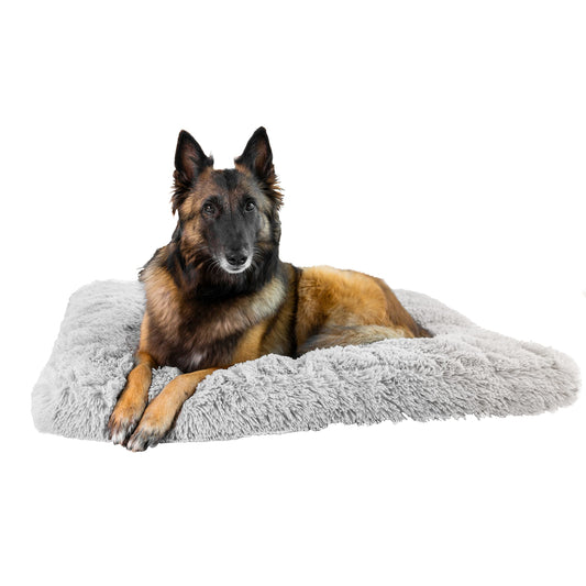Petzy Plüsch Hundebett I 80x60x14 cm oder 100 x 70 x 14 cm I flauschig & waschbar für große, kleine und mittlere Hunde I multifunktionale Hundematte extra dick & bequem I Hundekissen & Katzenkissen I (Anthrazit oder Lichtgrau)